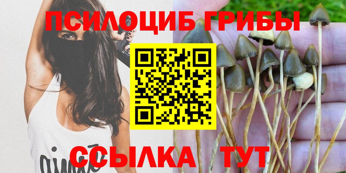 купить   Галлюциногенные грибы мухоморы  Псилоцибиновые грибы ЛСД  Вход с VPN  Искитим 